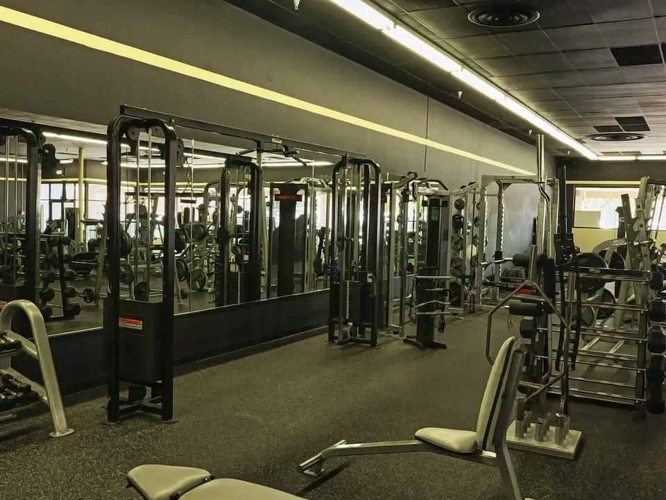 Cable machines and benches on the Bee Fit strength floor